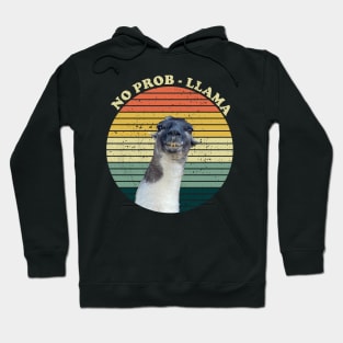 Cute Alpaca No Prob LLAMA Vintage Lama Retro Alpaca Gift Hoodie